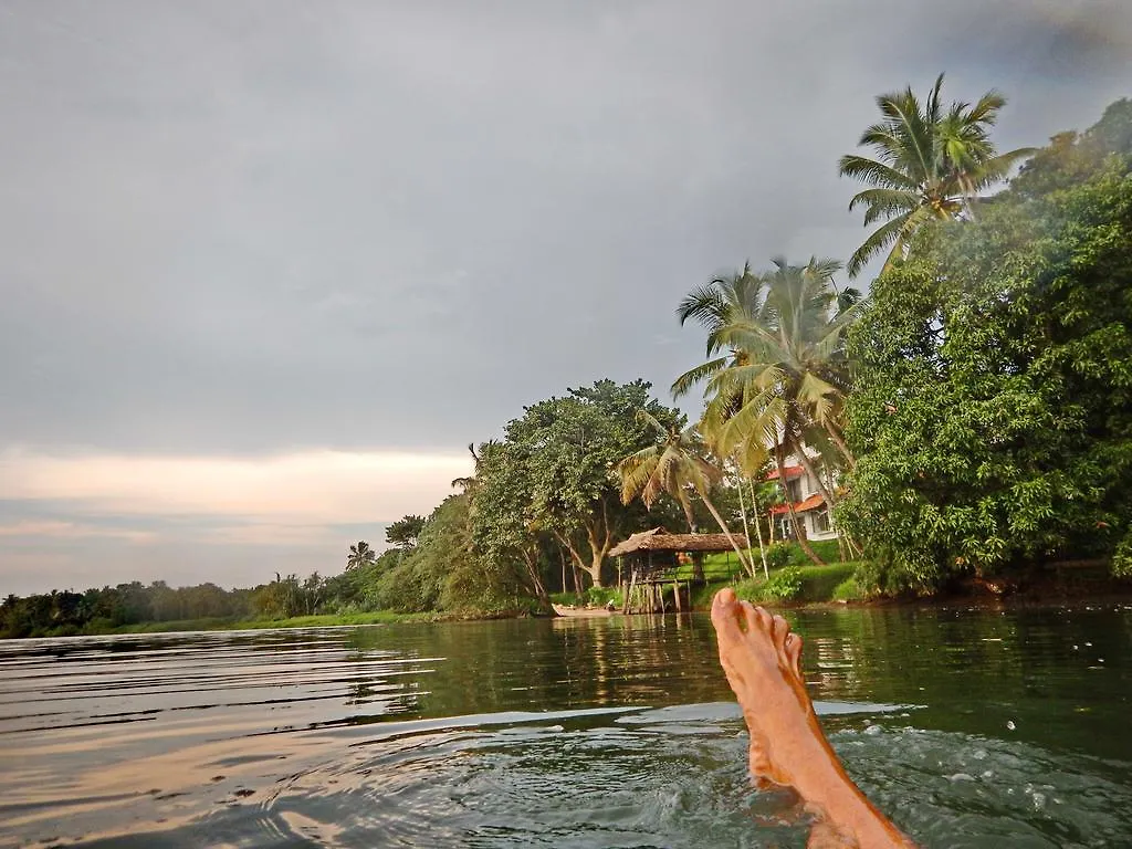 ***  Pearl Spot Bed & Breakfast Nedumbassery India